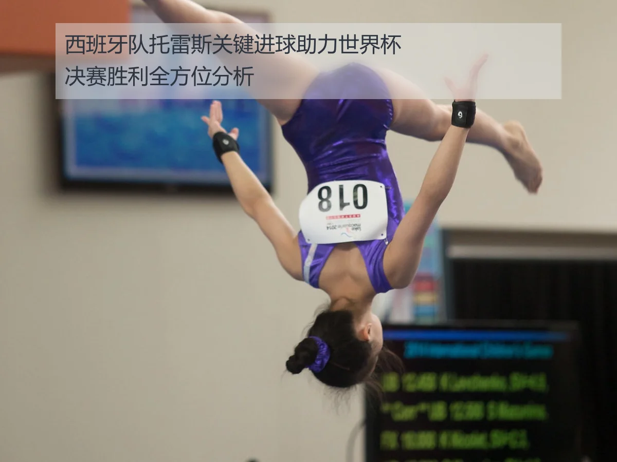 西班牙队托雷斯关键进球助力世界杯决赛胜利全方位分析